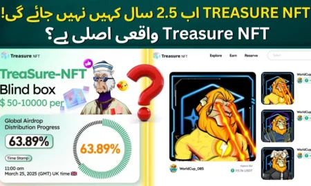 Is Treasure NFT a Legit Investment or a Massive Fraud New Update Today – Eid Offer Blind Box 🚨