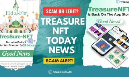 NFT Treasure Today News Pakistan: Top Events and Bonus Offers in 2025
